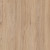 Dub Premium 
 + 572Kč 