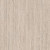 Cappuccino - Grain 
