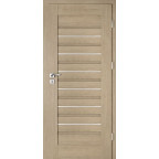 Interiérové dveře Intenso Lion Steel W-1