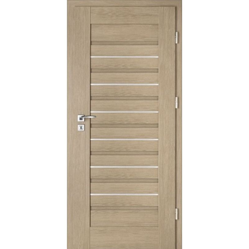 Interiérové dveře Intenso Lion Steel W-1