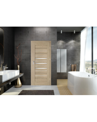 Interiérové dveře Intenso Lion Steel W-2