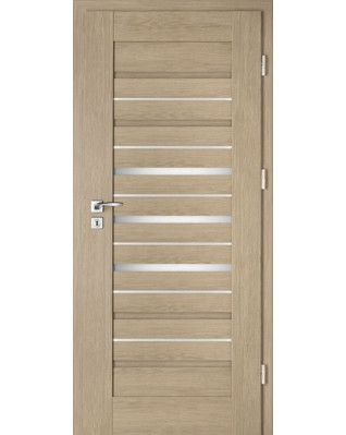 Interiérové dveře Intenso Lion Steel W-2