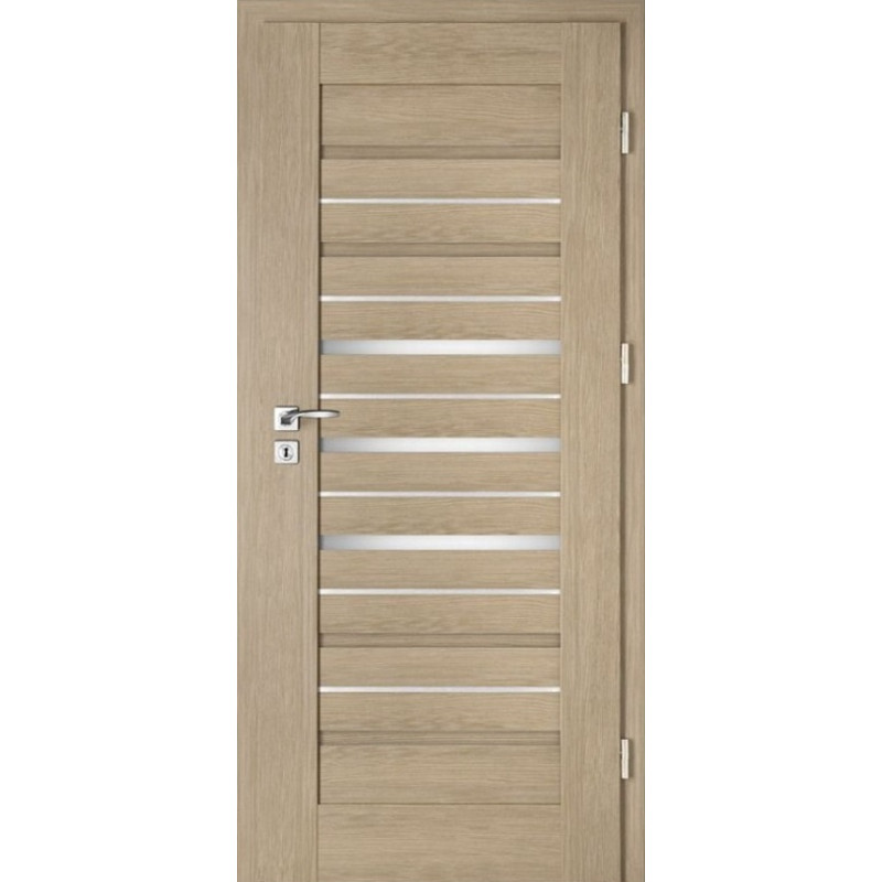 Interiérové dveře Intenso Lion Steel W-2