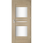 Interiérové dveře Intenso Lion Steel W-3