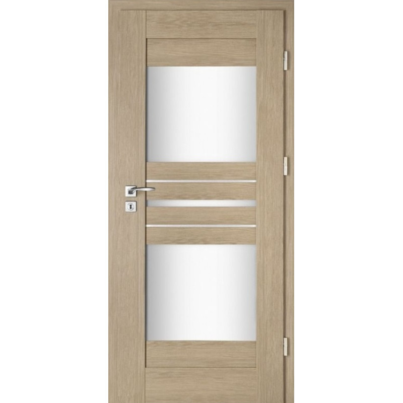 Interiérové dveře Intenso Lion Steel W-3