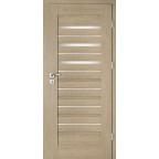 Interiérové dveře Intenso Lion Steel W-4