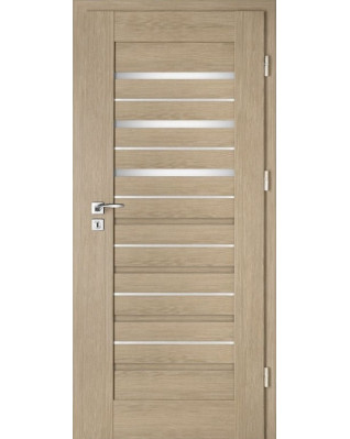 Interiérové dveře Intenso Lion Steel W-4