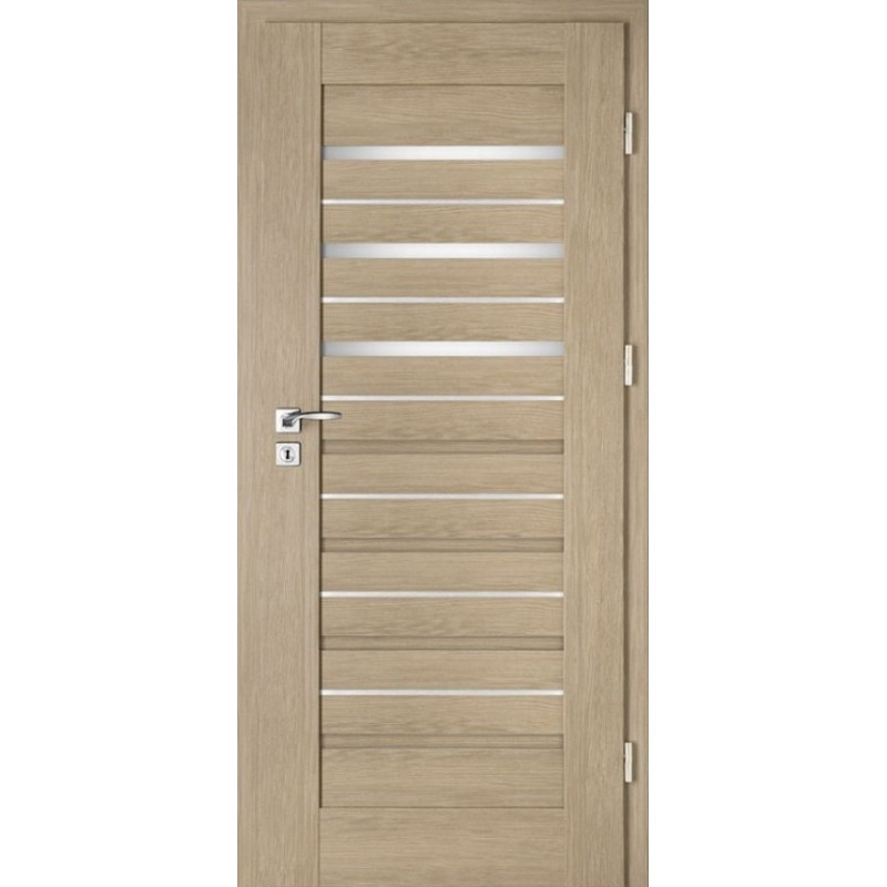 Interiérové dveře Intenso Lion Steel W-4