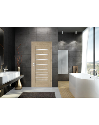 Interiérové dveře Intenso Lion Steel W-5