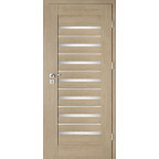 Interiérové dveře Intenso Lion Steel W-5