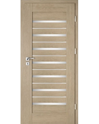 Interiérové dveře Intenso Lion Steel W-5