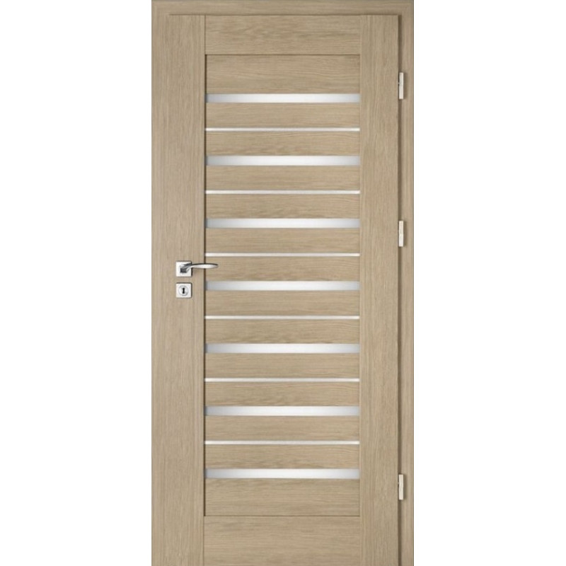 Interiérové dveře Intenso Lion Steel W-5